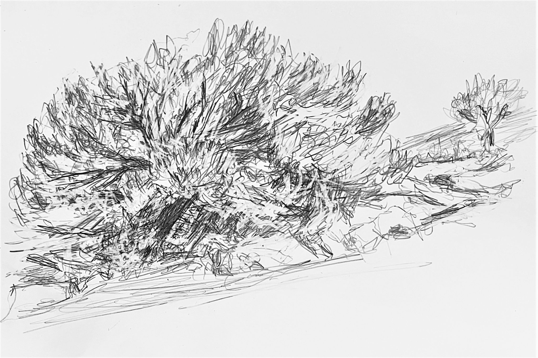 Cave di Cusa - Selinunte - Sicilia